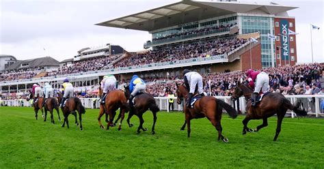 racing results from aintree|Latest Aintree Horse Racing Results .